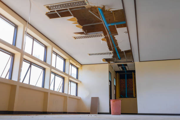 Best Flooded house restoration  in Roscoe, TX
