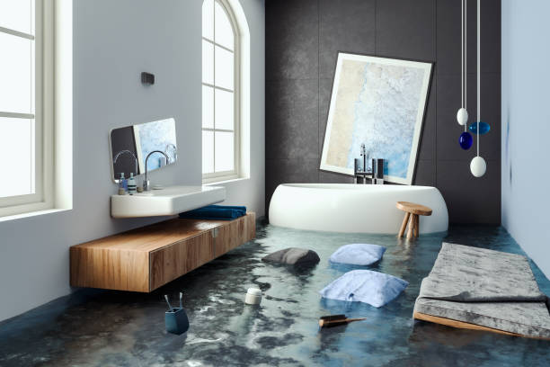 Best Basement water damage restoration  in Roscoe, TX