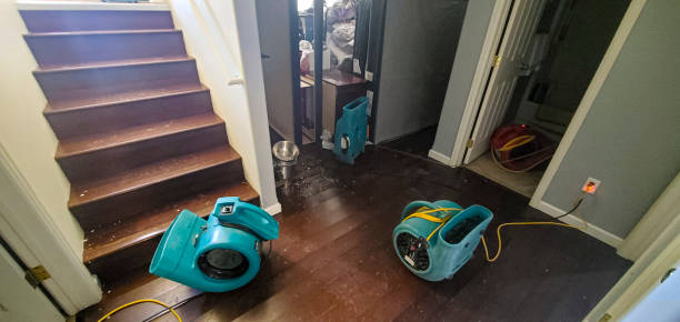 Best Water damage restoration near me  in Roscoe, TX