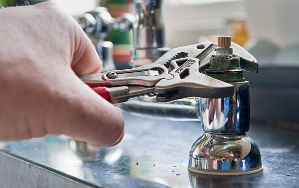 Best Mold removal after water damage  in Roscoe, TX