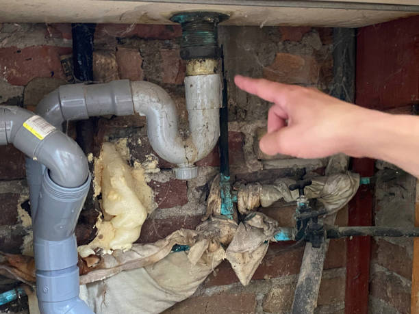 Best Water damage contractors near me  in Roscoe, TX