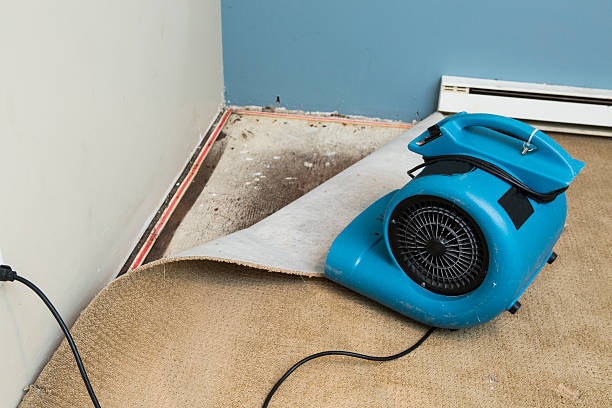 Best Emergency water damage restoration  in Roscoe, TX